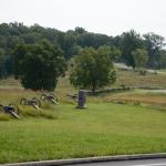 2017OTRA-1_907 (August 27, 2017)